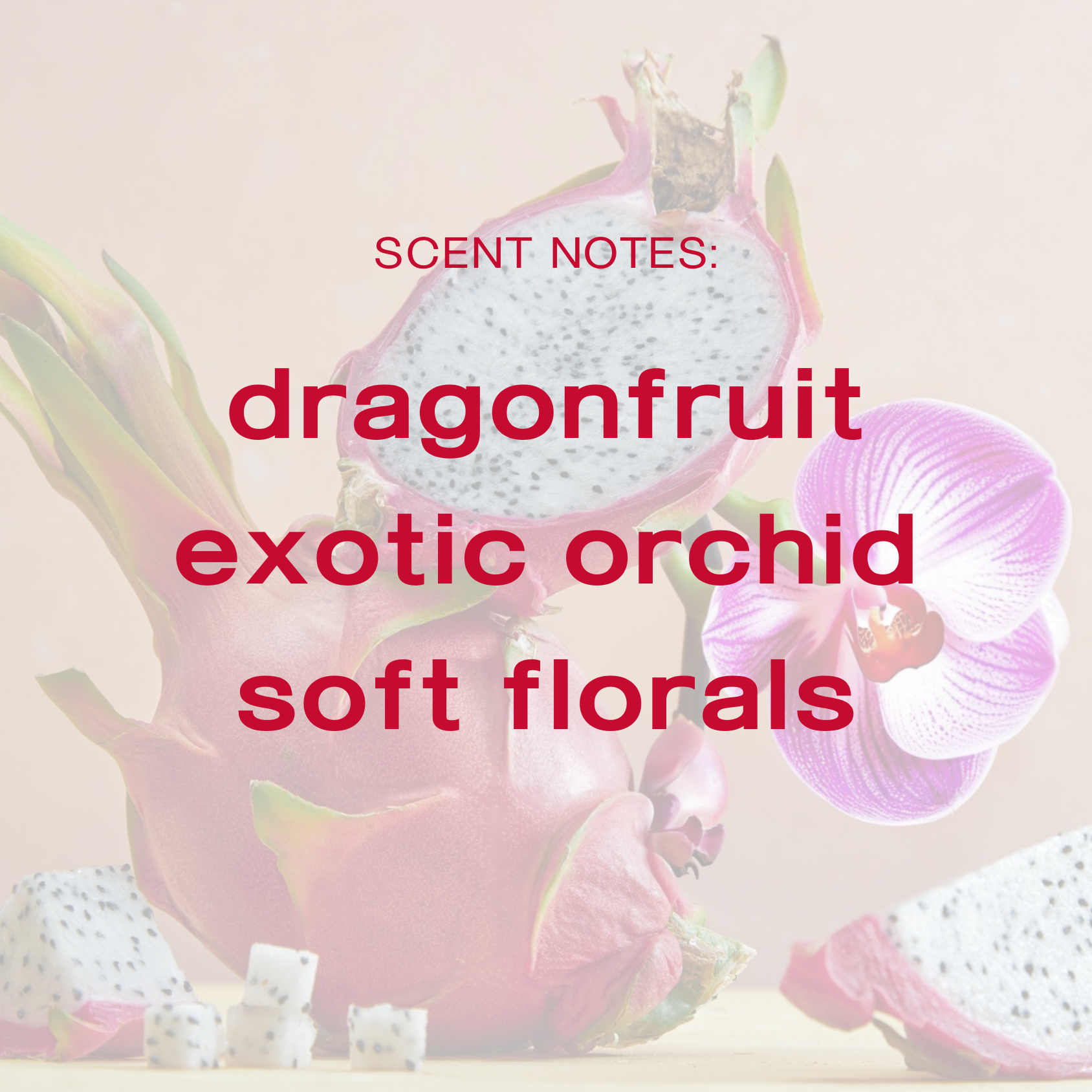 Exotic Bloom Body Oil